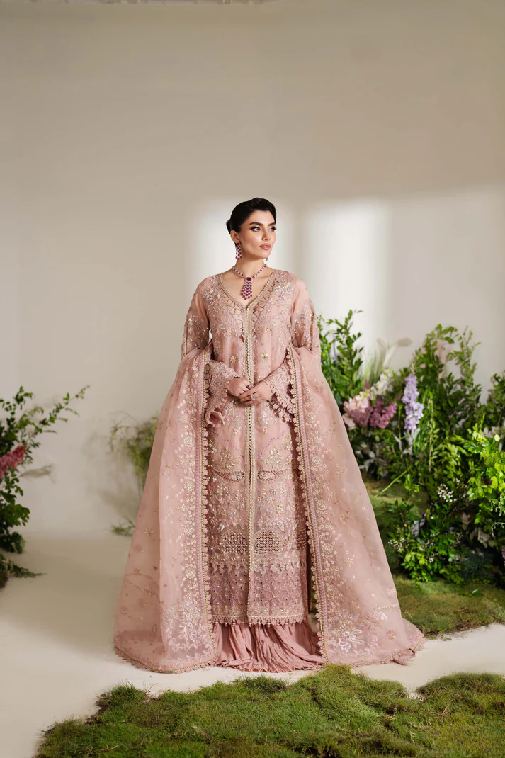 Zoya n Fatima Gown - Pink